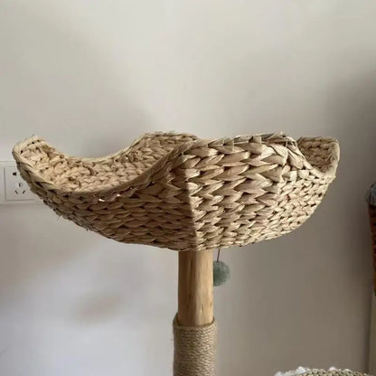 image5
